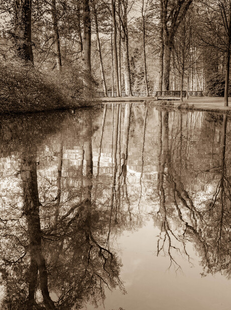 Reflections...