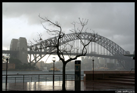 Sydney in the rain