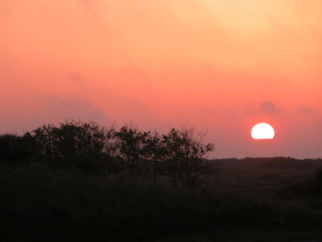 ameland