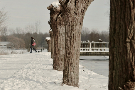 wandelaar in de sneeuw