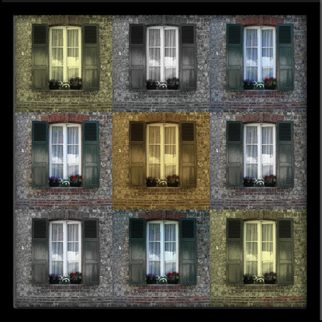 French windows
