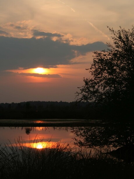 Zonsondergang Bargerveen