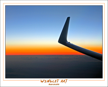 Winglet Art