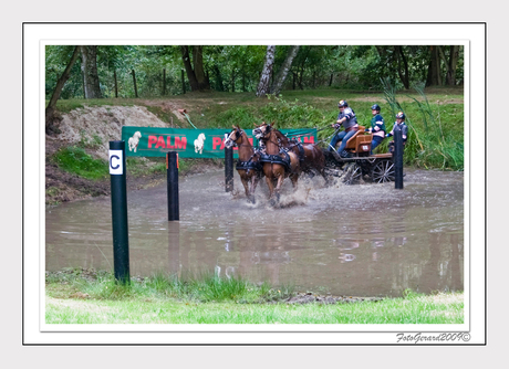 Belgische Kampioenschap mennen 2009 nr.7