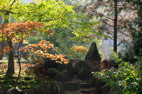 Hortus Botanicus Leiden