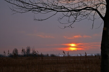 Zonsopgang IJsselmeer