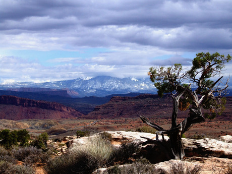 Canyonlands