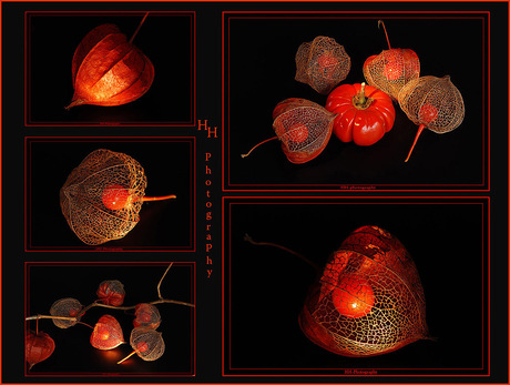 Collage van lampionnetjes