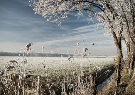 Weiland bij Heiloo