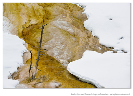 Yellowstone