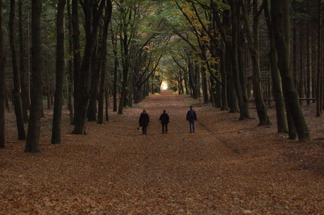 Herfst 2007