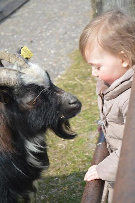 kinderboederij.jpg