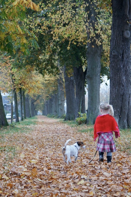 herfstwandeling