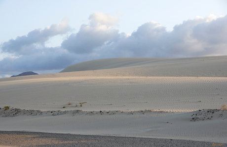 Stuifduinen van El Jable