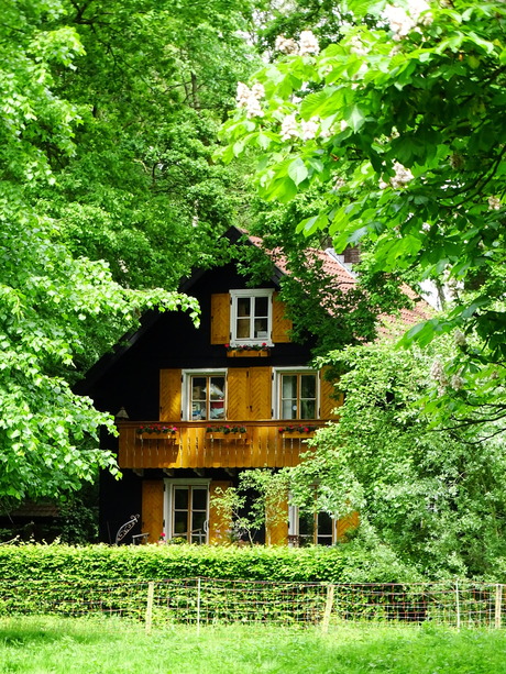 Huisje in het bos