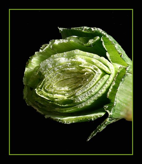 Prei voor in de snert