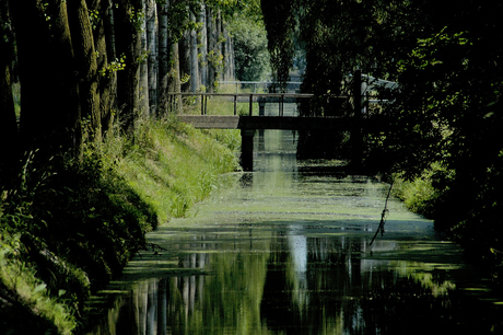 Sloot met bruggen