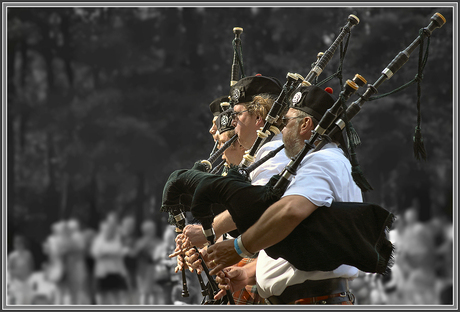 Pipers on line