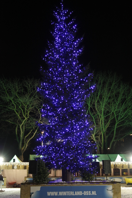 kerstboom winterland