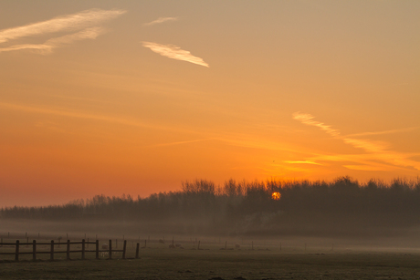 landschap