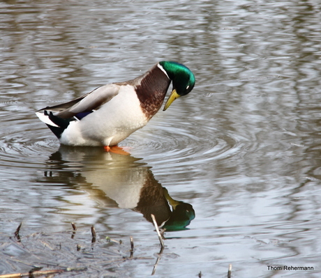 Spiegeltje, spiegeltje ....