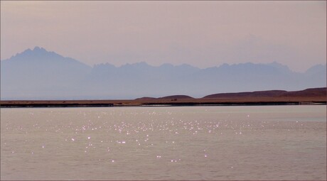 Brown Red Sea