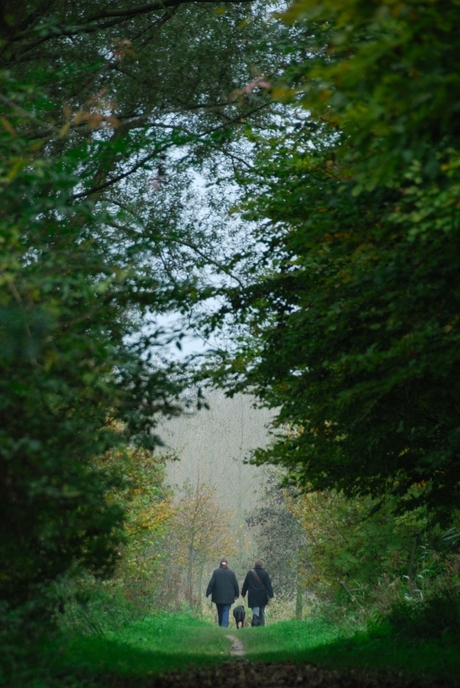 Herfst wandeling