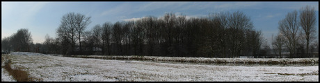 Delftse Hout (panorama)