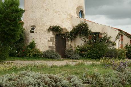 Moulin de France