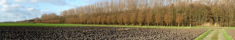 Pano H v Holland bonnenpolder uit 6 horiz 28nov 2017