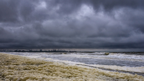 Hoek van Holland