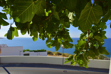 verweg en toch dichtbij