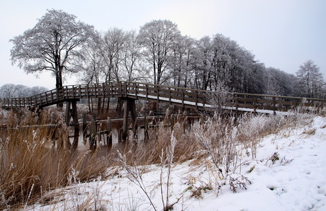 hoogholtje brug