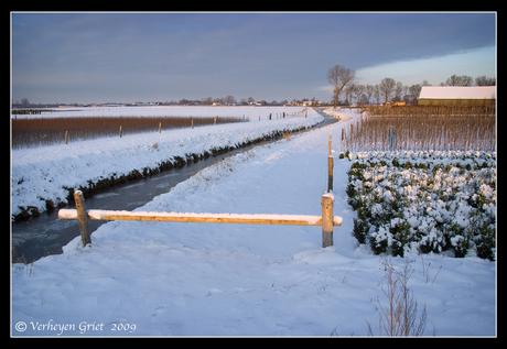 Winters landschap2