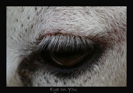 Eye-on-You