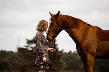 Paard