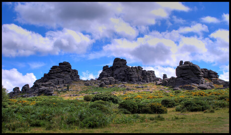 Dartmoor