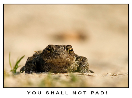 you shall not pad