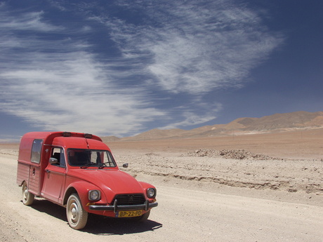 Acadiane in de Atacama