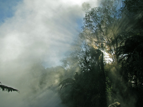 hot spring NZ