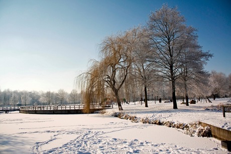 Sneeuw 's-Hertogenbosch