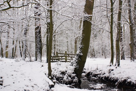 winter, sneeuw