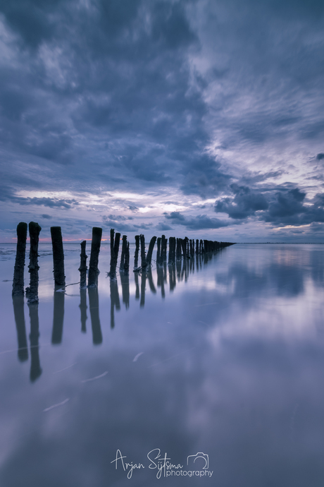 Blue mudflats II