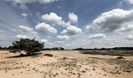 Veluwe