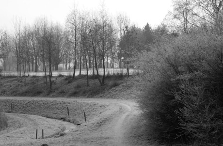 Winter 2009 - 7 in zwart/wit