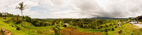 Unesco rijstvelden Bali