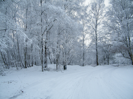 Sneeuw.jpg