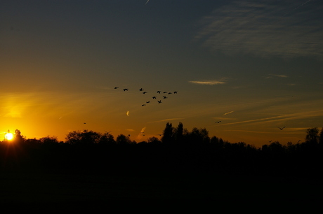 Herfst Ochtend aan de Rotte