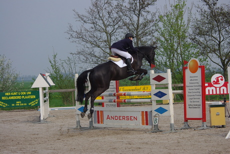 Showjumping