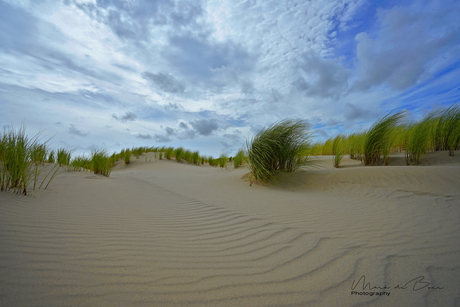 duinen